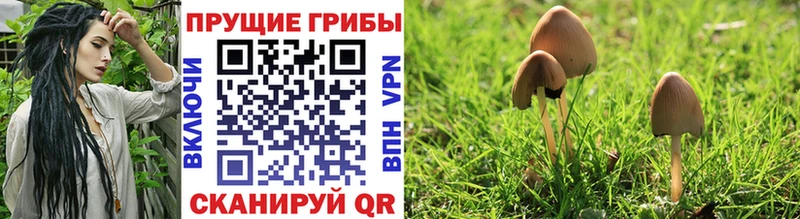 Псилоцибиновые грибы MAGIC MUSHROOMS  Купить где  Белогорск 